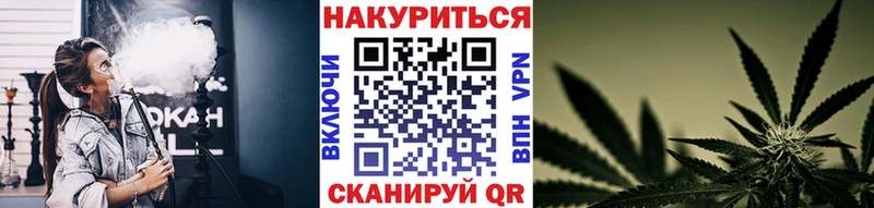 Виды наркотиков купить Алапаевск Бошки Шишки  СК  Гашиш  МЕТАДОН  Меф 