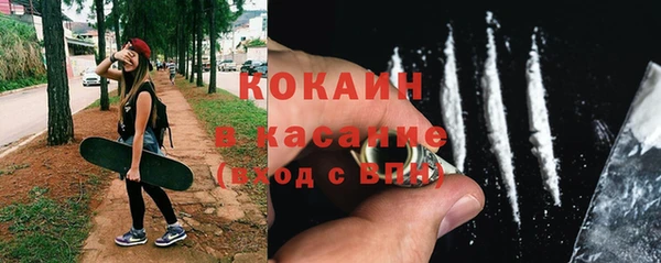 ПСИЛОЦИБИНОВЫЕ ГРИБЫ Щучье