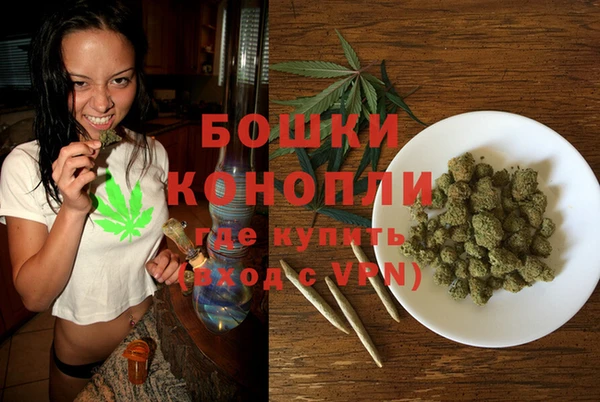 винт Щёлкино