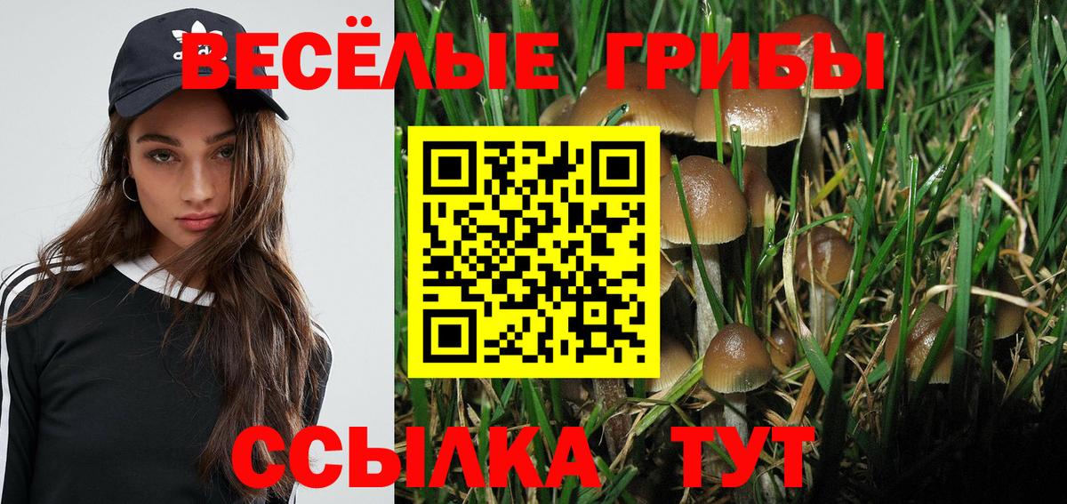 Псилоцибиновые грибы ЛСД  Псилоцибиновые грибы Psilocybine cubensis  Алапаевск  Вход с VPN 