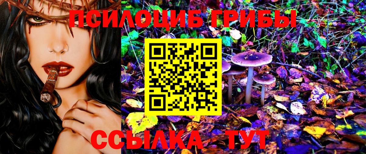 Галлюциногенные грибы прущие грибы Алапаевск