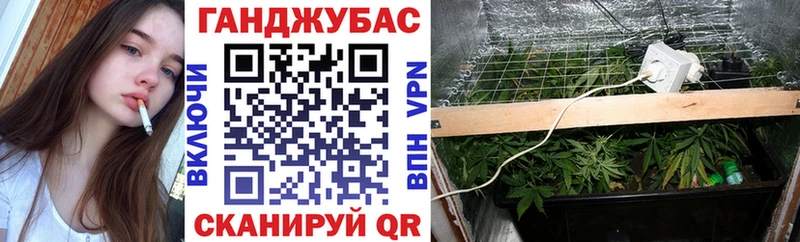 Бошки Шишки гибрид гидра ссылки Алапаевск