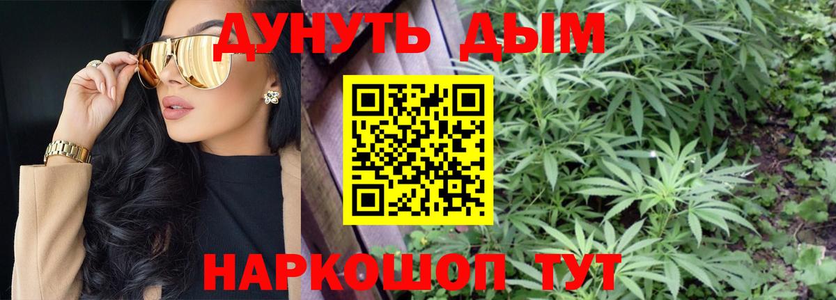 Шишки марихуана семена  Бошки Шишки планчик  Алапаевск  Вход с VPN  Шишки марихуана марихуана 
